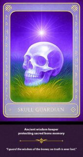 card-24