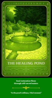card-19