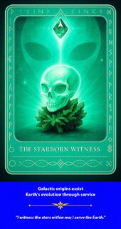 card-2